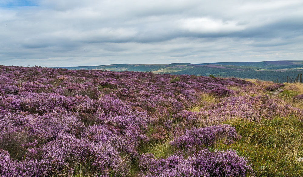 Eyam Moor Eyam Moor